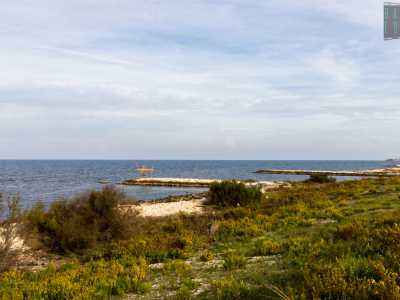 Non ci resta ora che superare il muretto a ridosso della strada per scendere nella foce del torrente, inclusa da due argini che si allungano nel mare